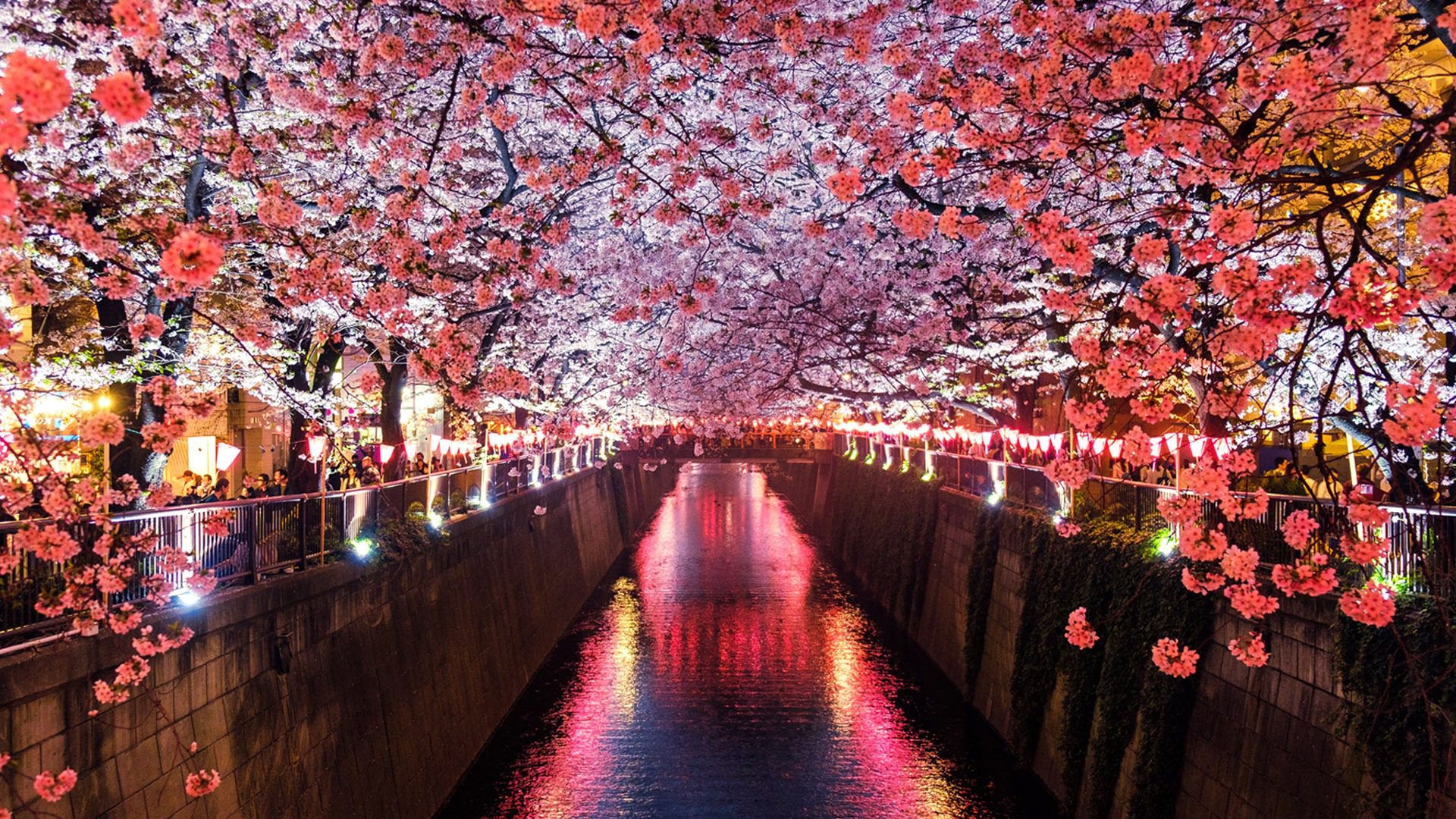 Viaggiare in Giappone con Watabi