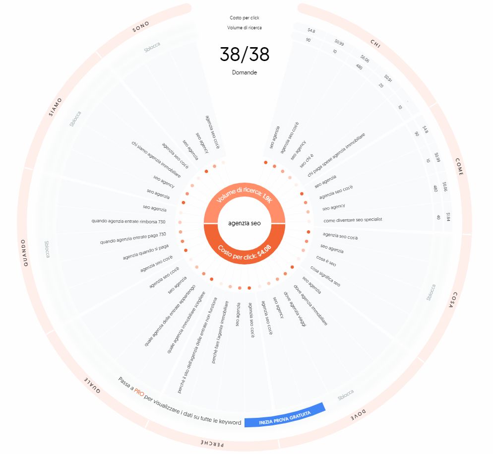 Answer The Public: grafico circolare