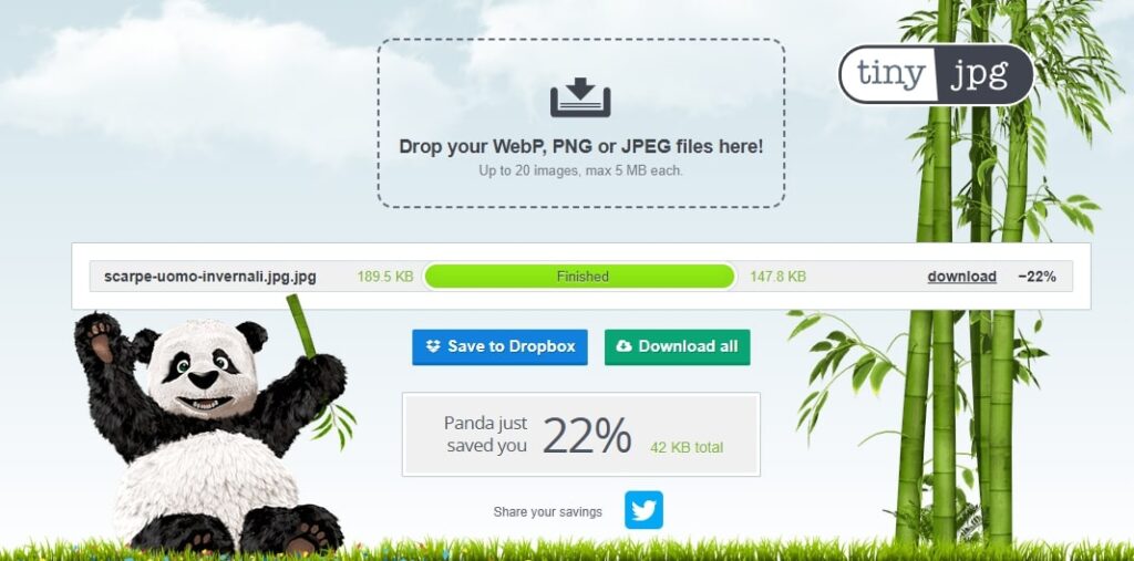 Esempio di compressione di TinyJPG per ottimizzazione immagini SEO