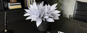 contenuti evergreen