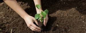 lead nurturing