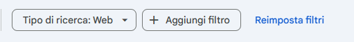 Sezione dei filtri in Search Console